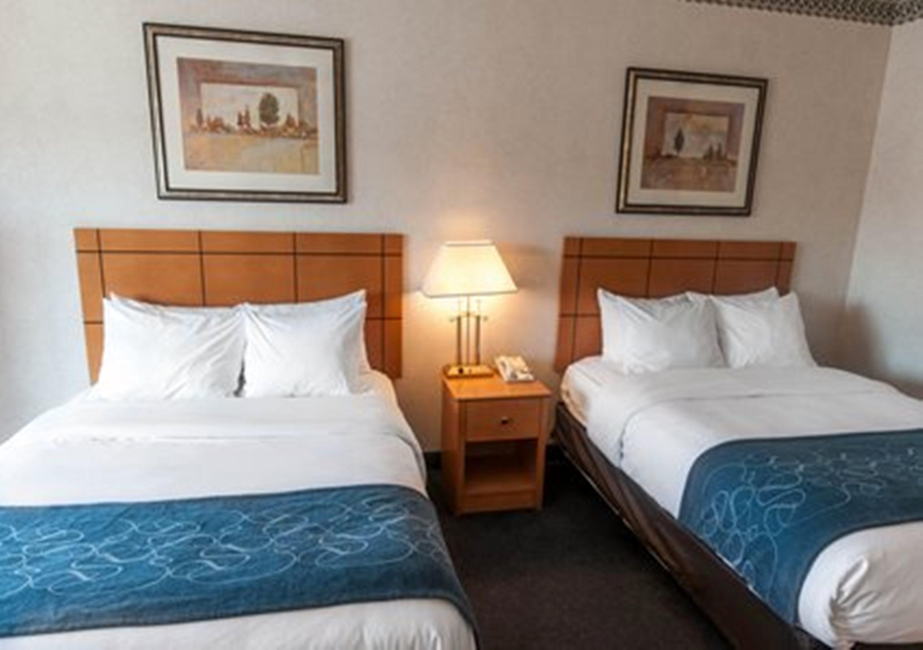 Comfort Suites University Las Cruces Værelse billede